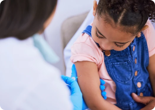 Descripción de la imagen