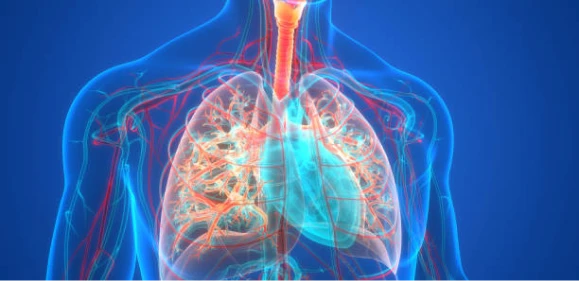 Enfermedad Neumocócica