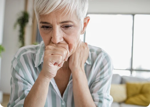 Descripción de la imagen